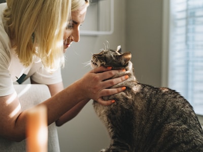 Vet examining a dog